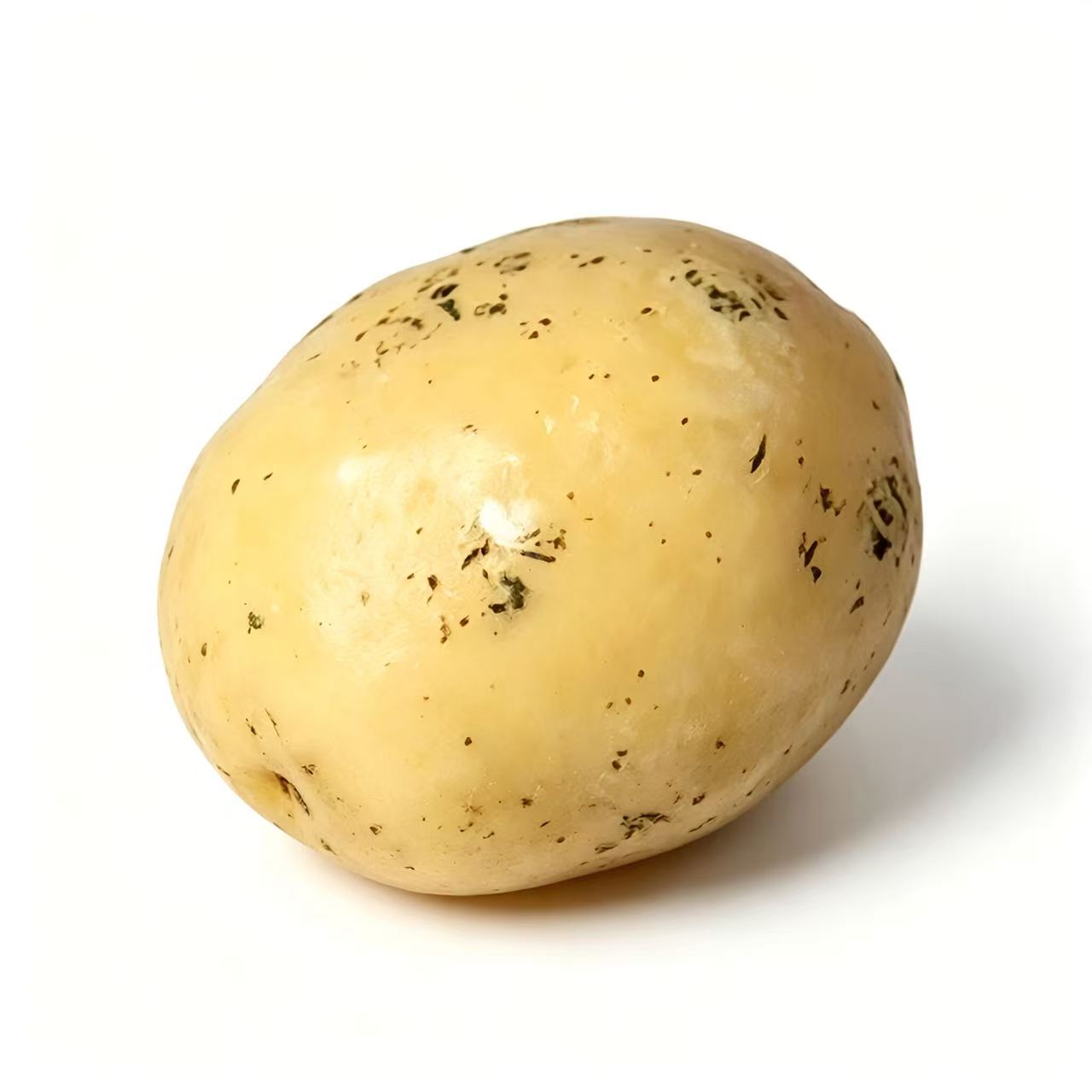 Pan-Fried Mashed Potato Squishy Stress Ball